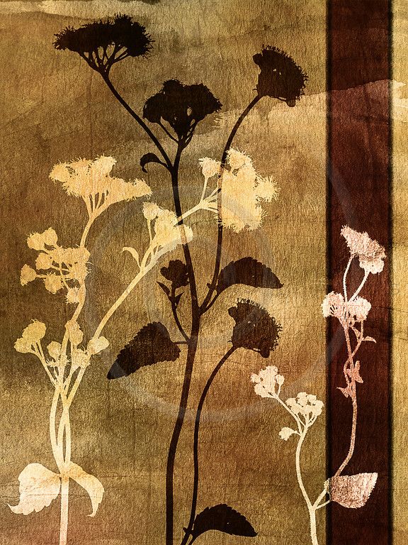 Wildflower silhouettes in warm tones on brown and tan textur