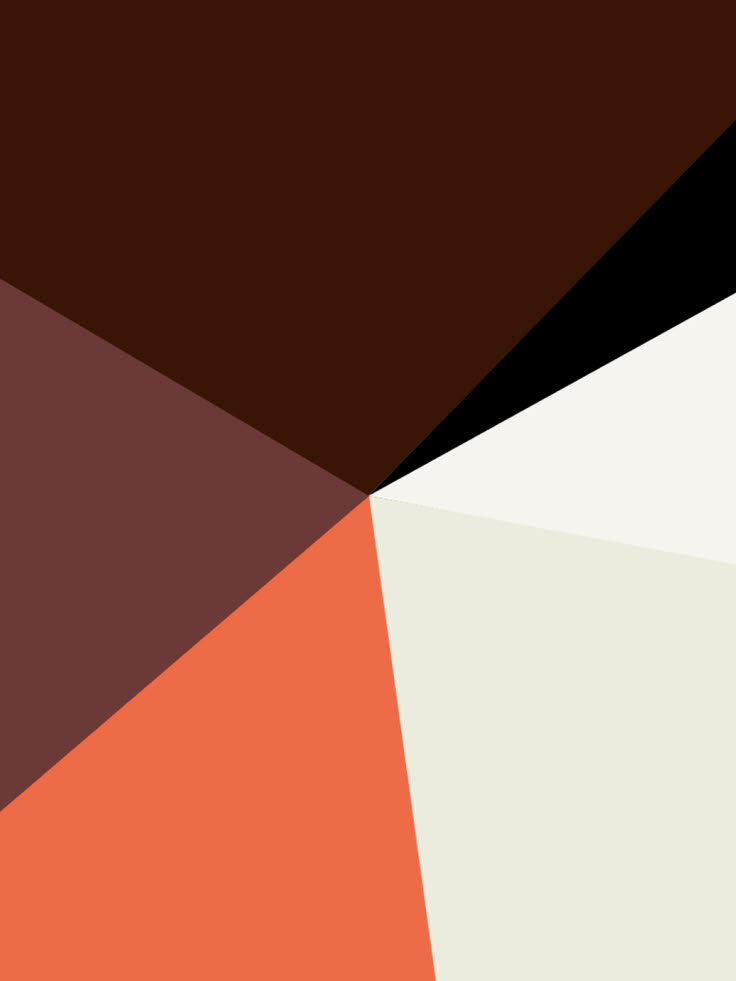 Part of the Brand Identity of Fyne