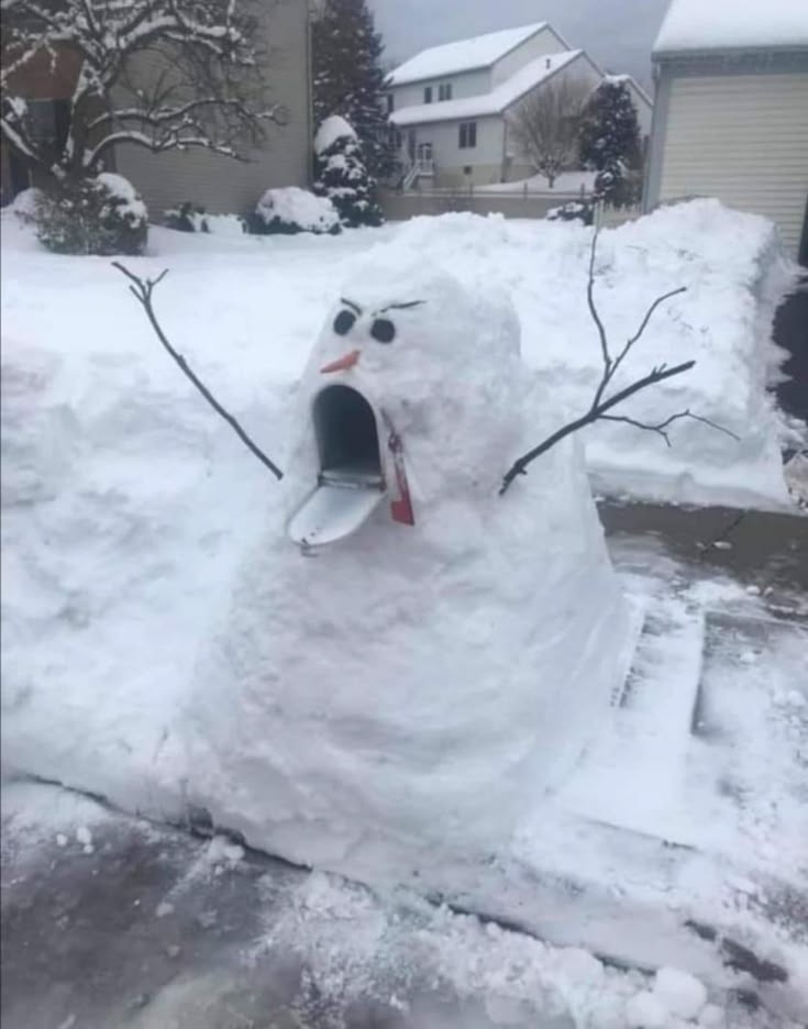 Snow is fun! (35 photos)