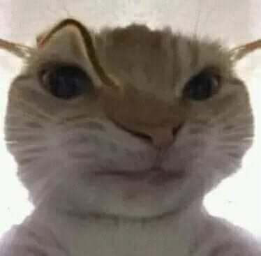 ?? ??? ?? ???????????????????? "El fue la casualidad mas lin