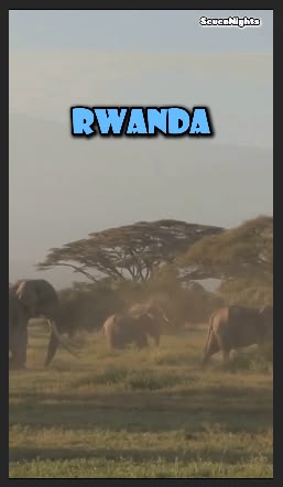 Watch here: https://youtube.com/shorts/GyCD87RJwSA?feature=s