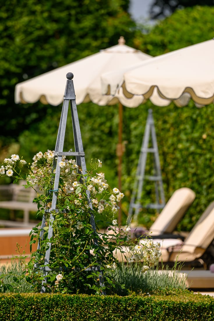 Support climbing plants while adding structure and style to 