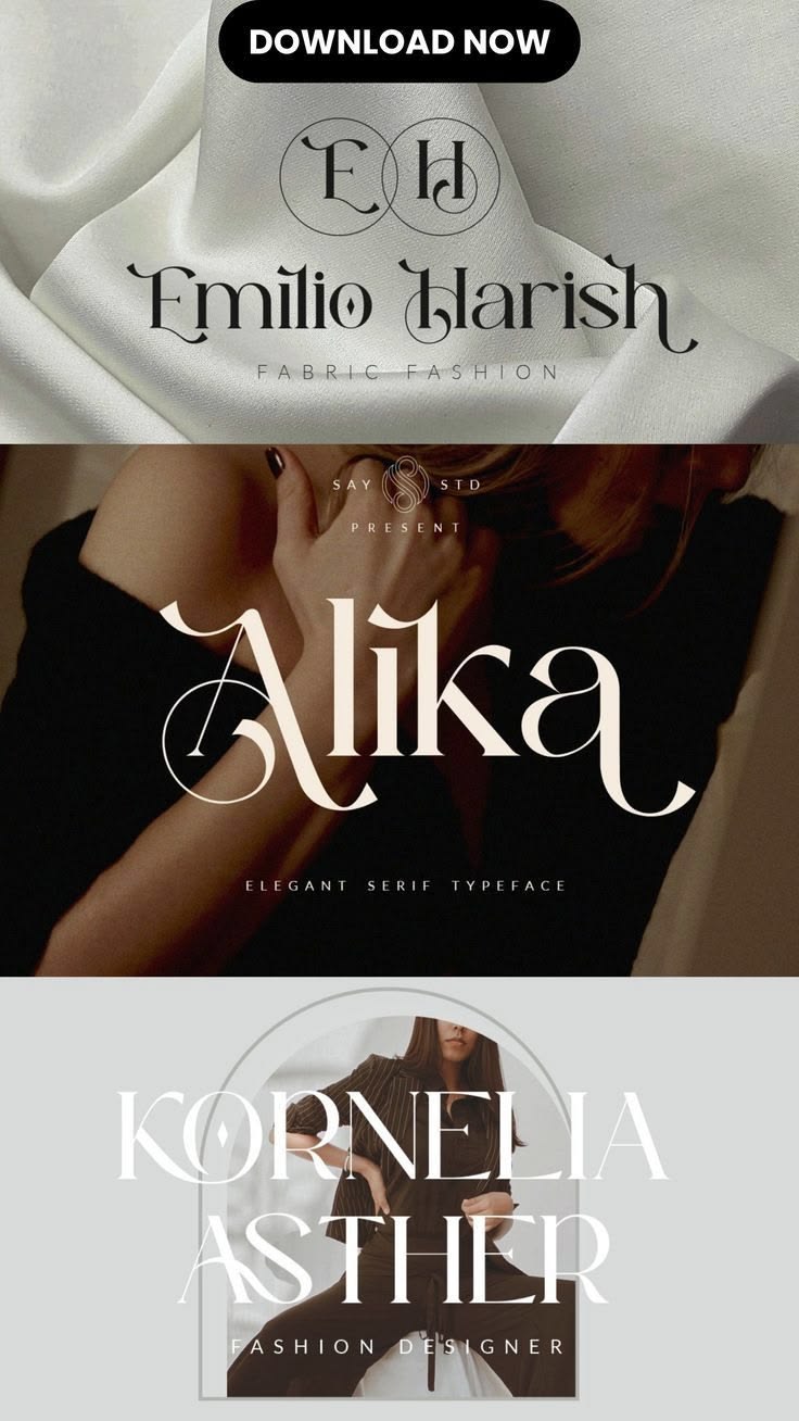 「「Alika - Elegant Serif, a Serif Font by Say Studio」[動画]」[動画