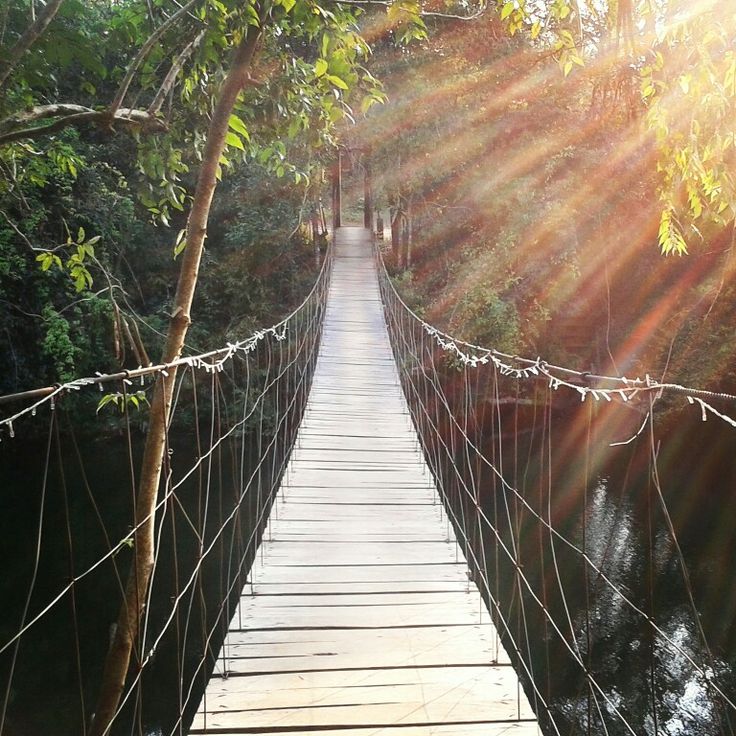 Foot bridge to Butterfly Island, Chi Phat CBET, Cardamom Mou