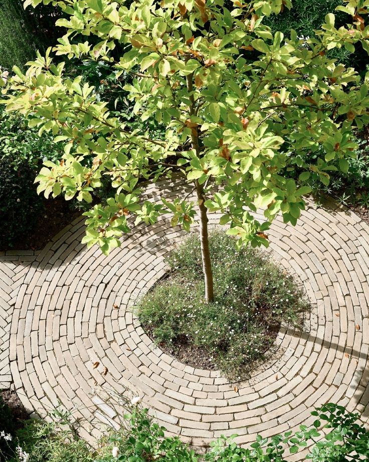 💚 QUAND TRADITION RIME AVEC MODERNITÉ 💚  Les pavés en terre 