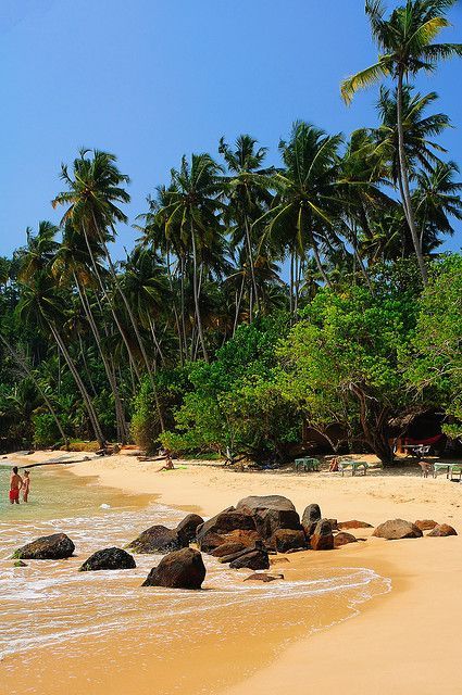 Mirissa Beach, Sri Lanka