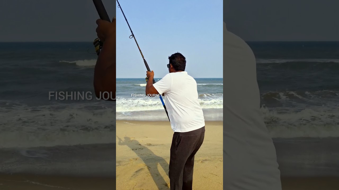 Yellow Tail Barracuda Caught On The Beach #fishing #shorts #fishingvideo #camping #trending #fish