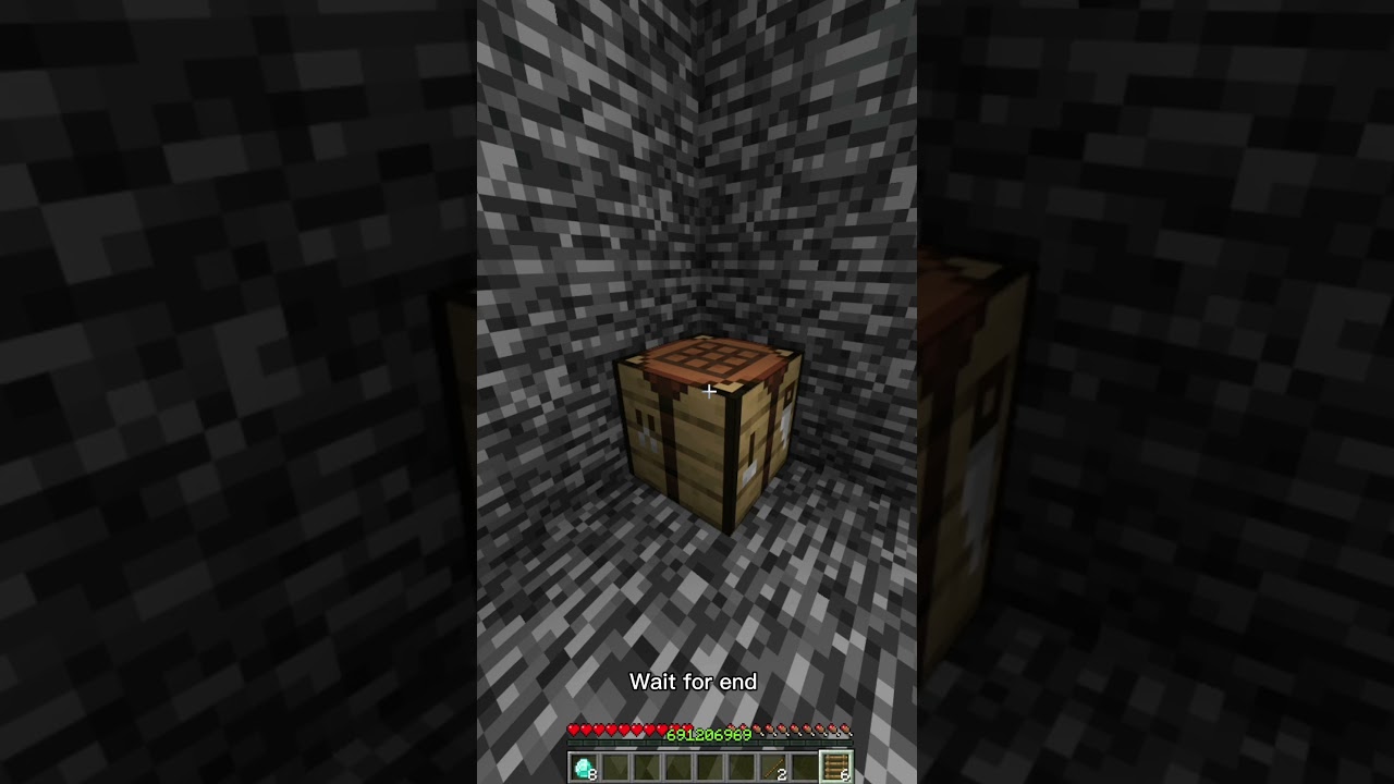 Minecrafter 999IQ vs 00 IQ Test #minecraft #shorts