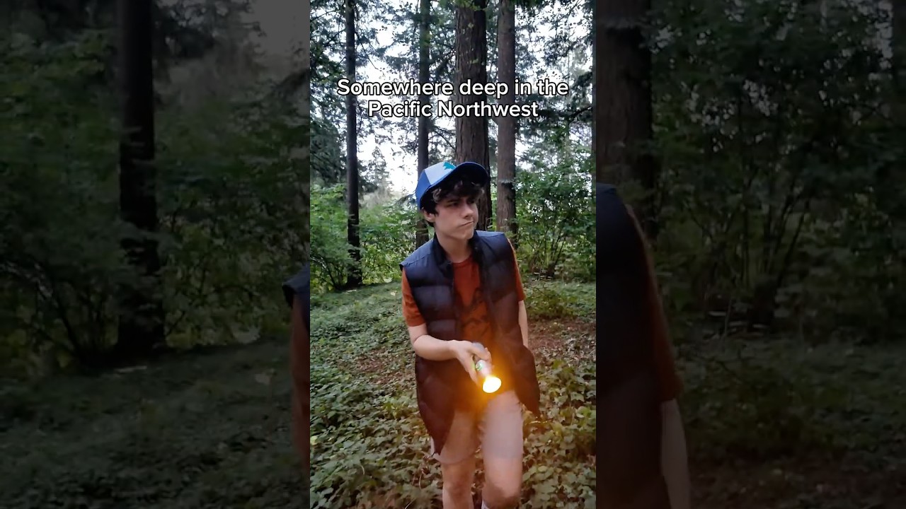 Mystery book in the forest? #gravityfalls #dipperpines #disney