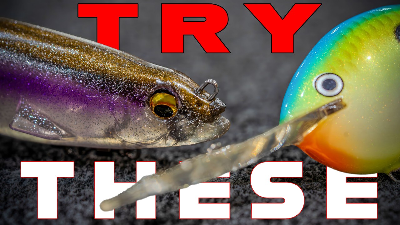 6 Baits For Summer Bass Fishing! ( Adapting To The Conditions )