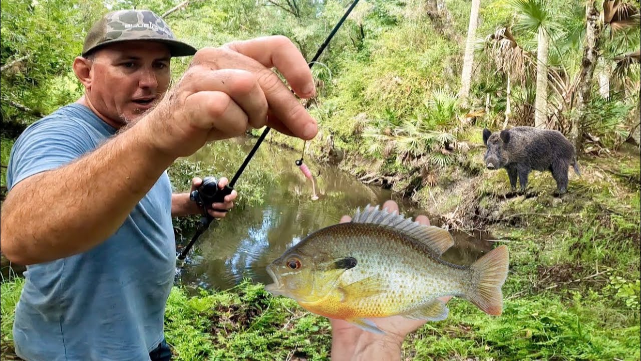 We Found a Hidden Creek Full of Fish at Hunting Camp! ( Catch & Cook)