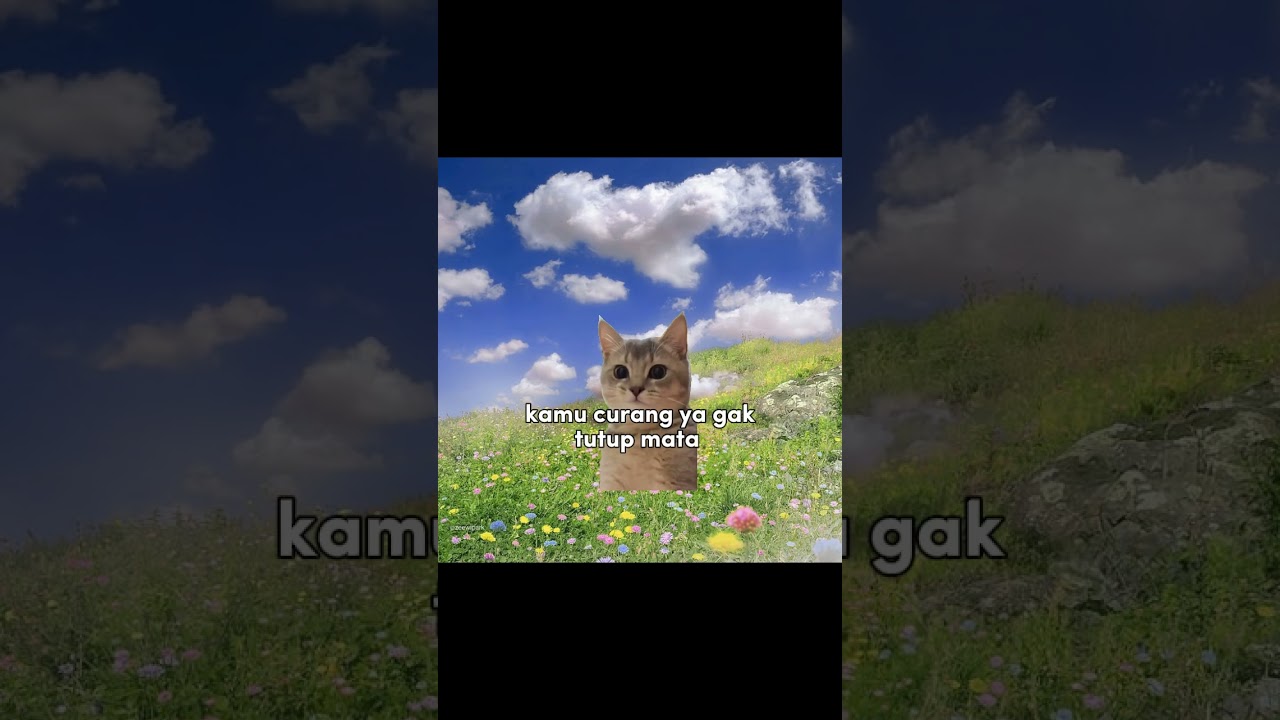 #memekucing #cat #sad