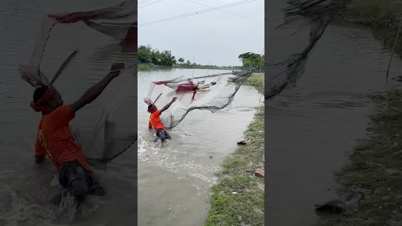 Nice fishing 20M ￼view 8k￼ net fishing amazing fishing is real fishing