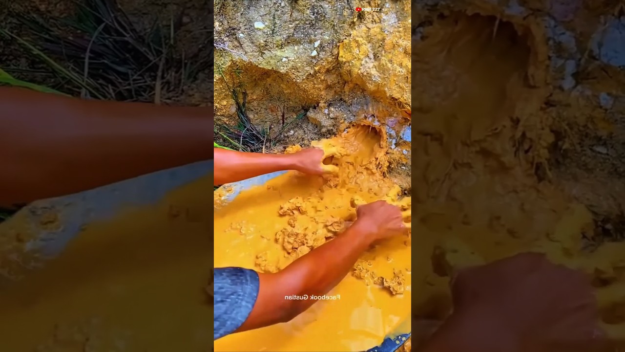 gold searching 🤣 #funny #funnyvideo