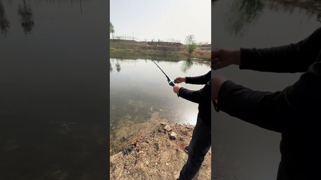 Cần Câu Máy Rút Gọn 33cm - 1,8m? #fishing #shortvideo