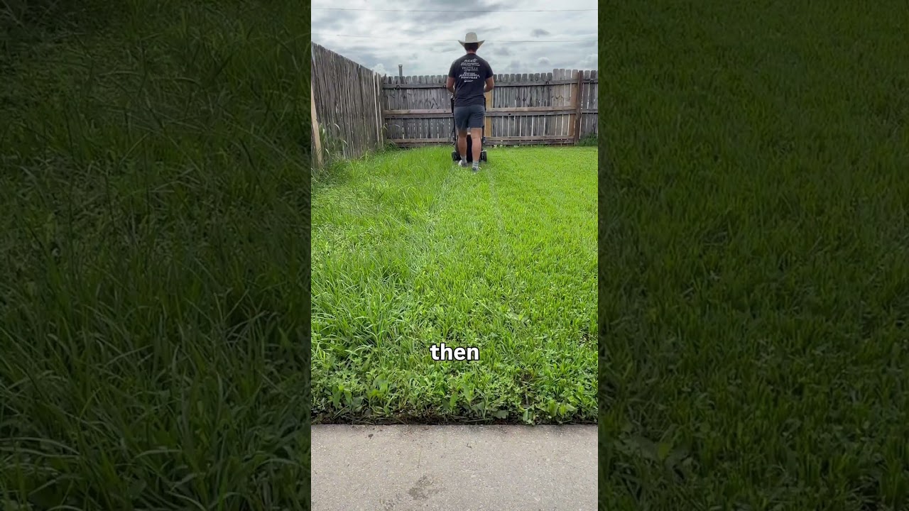 She was staring at me😳 #lawncare #dclawncare #lawn #work #storytime