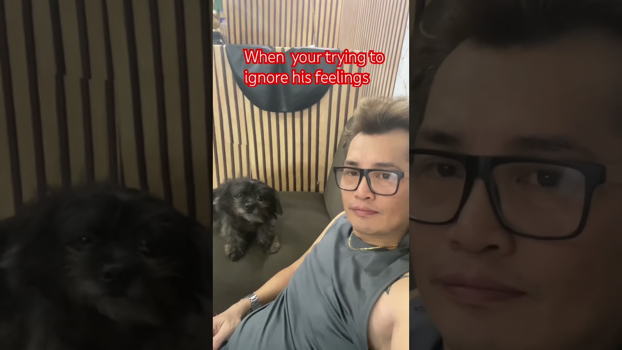 I love you bambie #shortfeed #funny #jhunofficialvlog #pets #tsihtzu