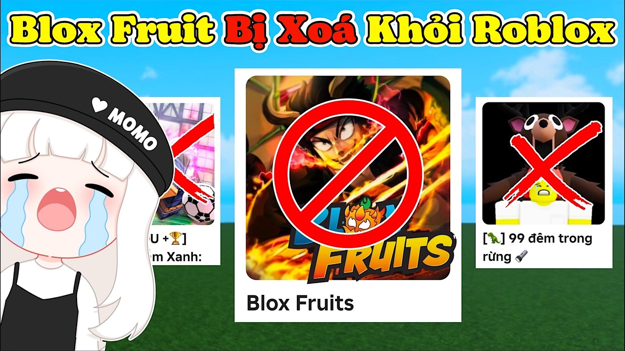 BLOX FRUIT Bị Xoá Khỏi Roblox Hàng Loạt Game Bay Màu - Lại Là Roblox VNG