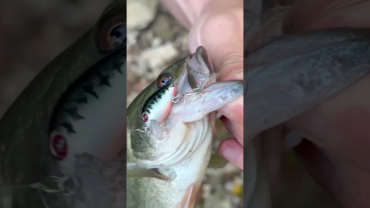 World's smallest lure! #fishing #outdoors