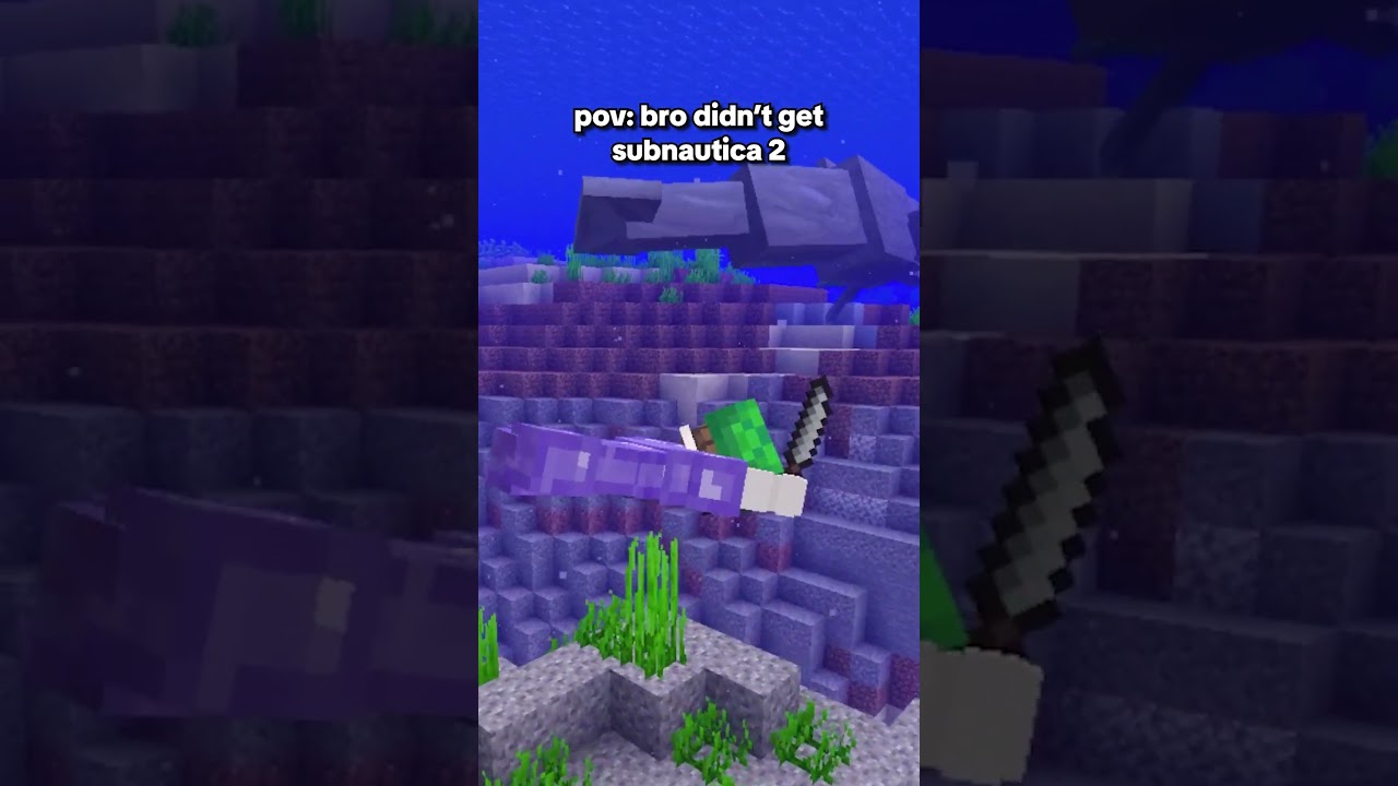 Bro should've just gotten the game.. 💀 #minecraft