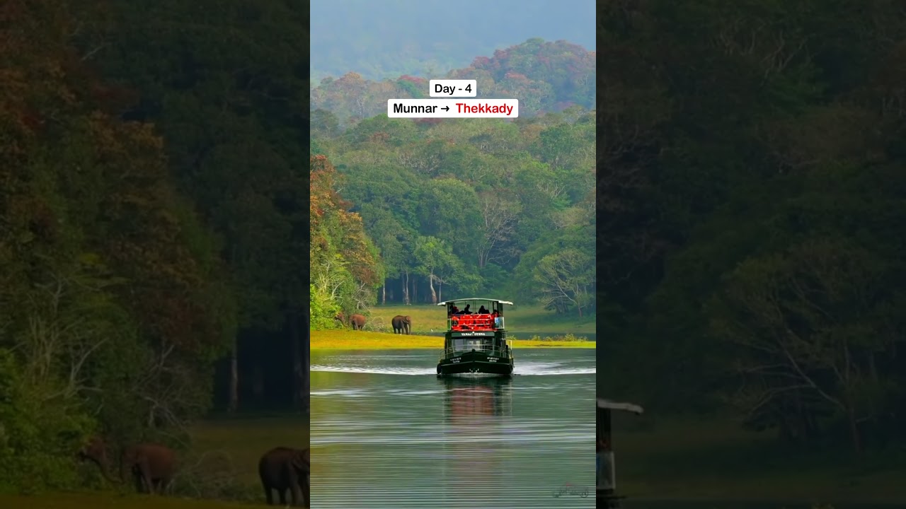 8-Day Kerala Itinerary 🌴 | Kochi, Munnar, Alleppey, Varkala & Kovalam Trip Guide