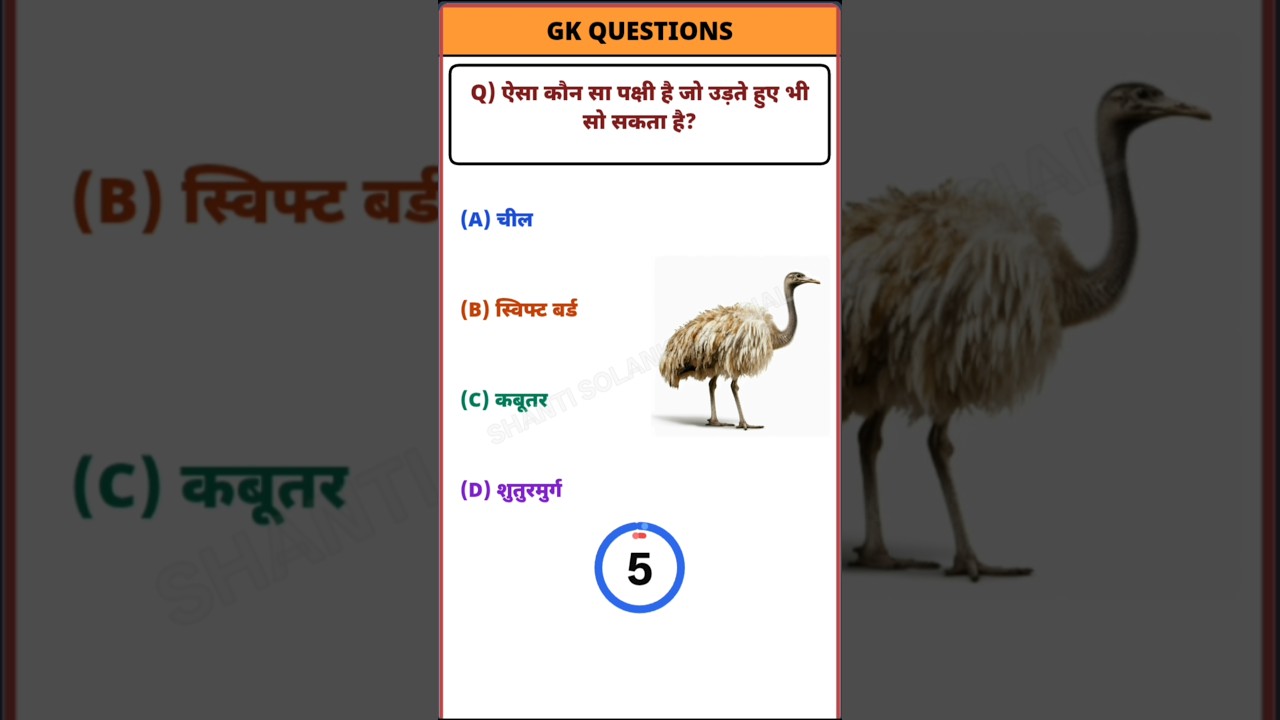gk ssc|gk quiz |gk question|gk in hindigk|quiz in hindil #sarkarinaukarigk #rkgkgsstudy #education