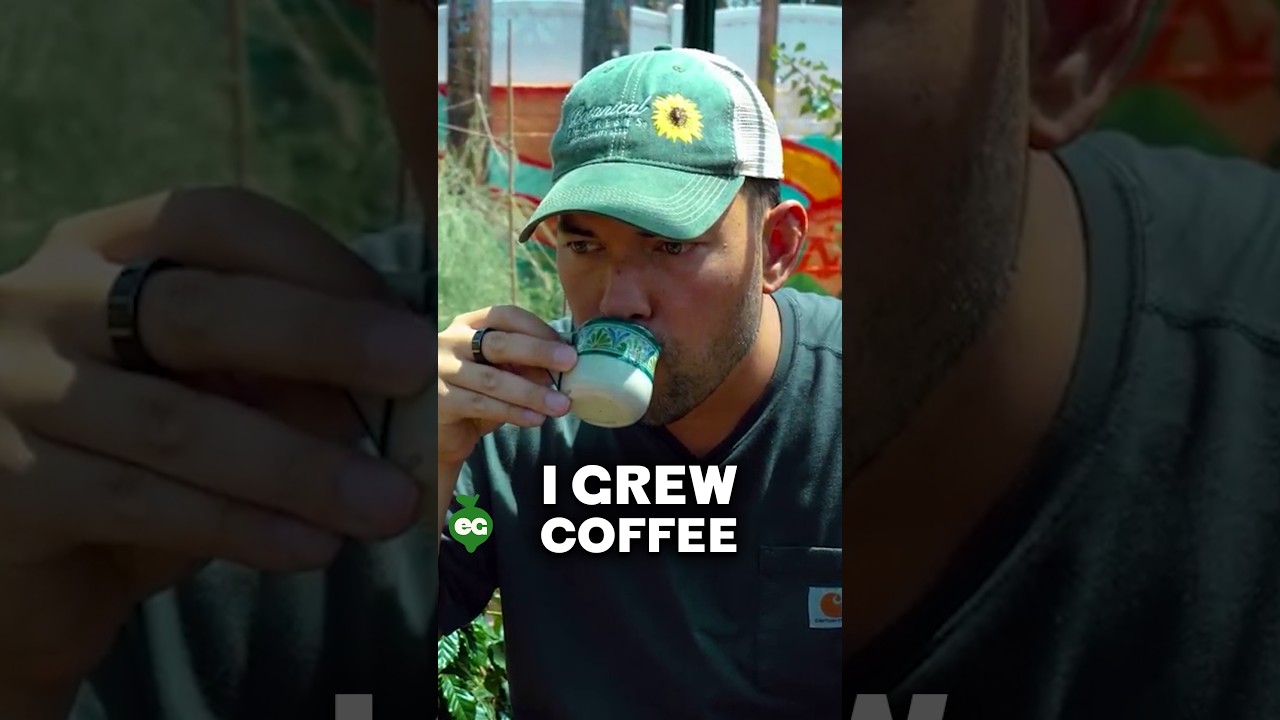 I grew a cup of coffee...