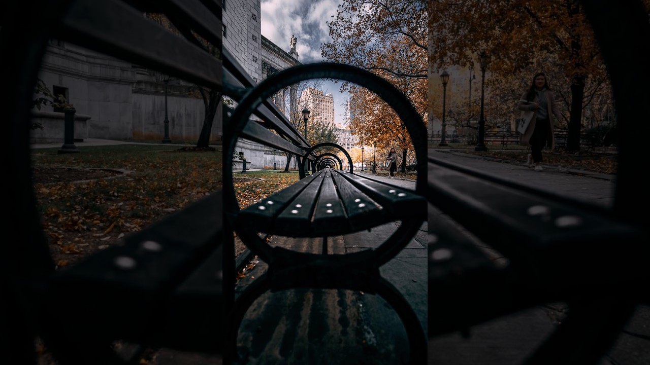 Bench symmetry through my lens #shorts #newyorkcity #cinematic #vibes #newyork #photography #nyc