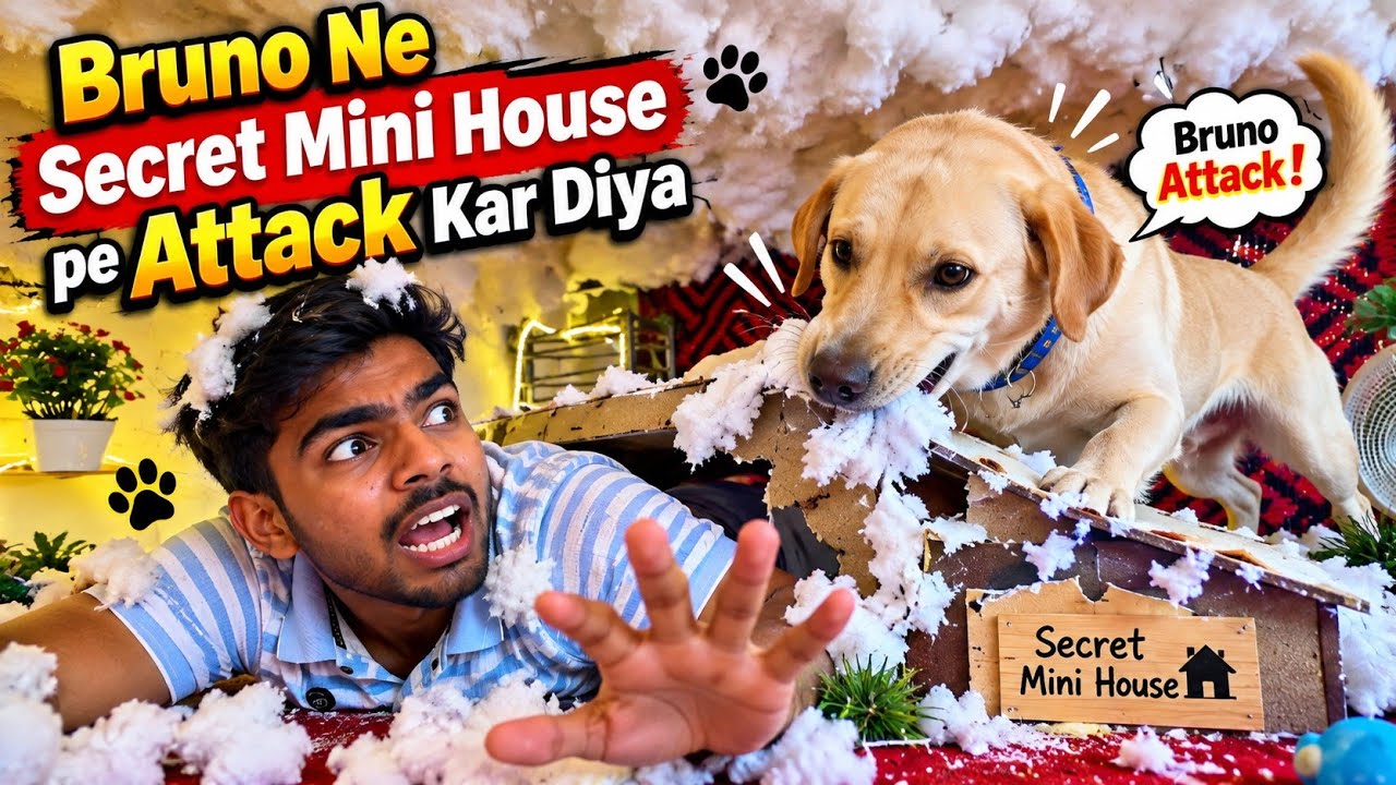 Secret Mini House pe Bruno Ne Attack Kar Diya 😱#dailyminivlog #minivlogseries #secrethouse