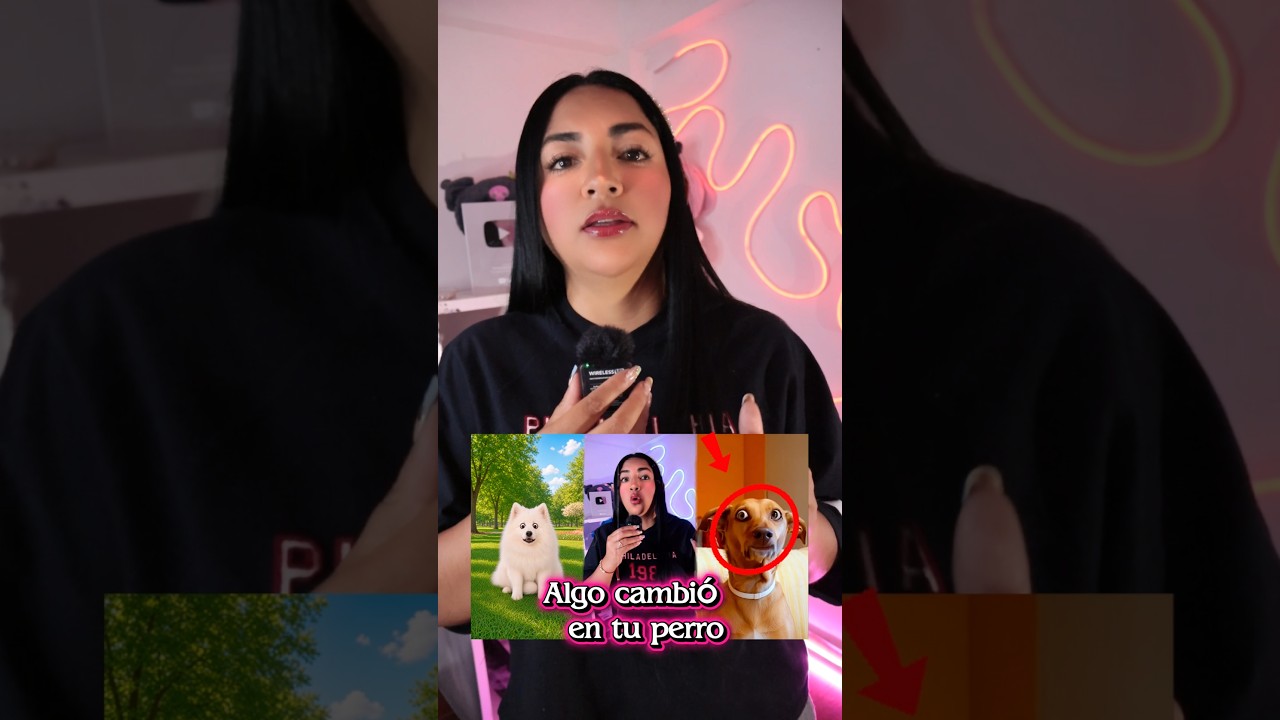 Esto es lo que NUNCA debes preguntarle a tu PERRO 😱🚫  #storytime #facts #perro #horrorstory #viral