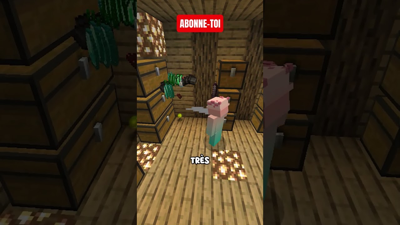 Le SECRET des JOUEURS INVISIBLE sur MINECRAFT !!