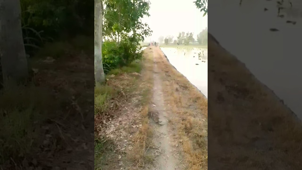 Beauty of the earth ✅ #shortvideo #beuaty #nature #love #travel #vlog #song #lifeisbutadream 💞💞💞💞💞