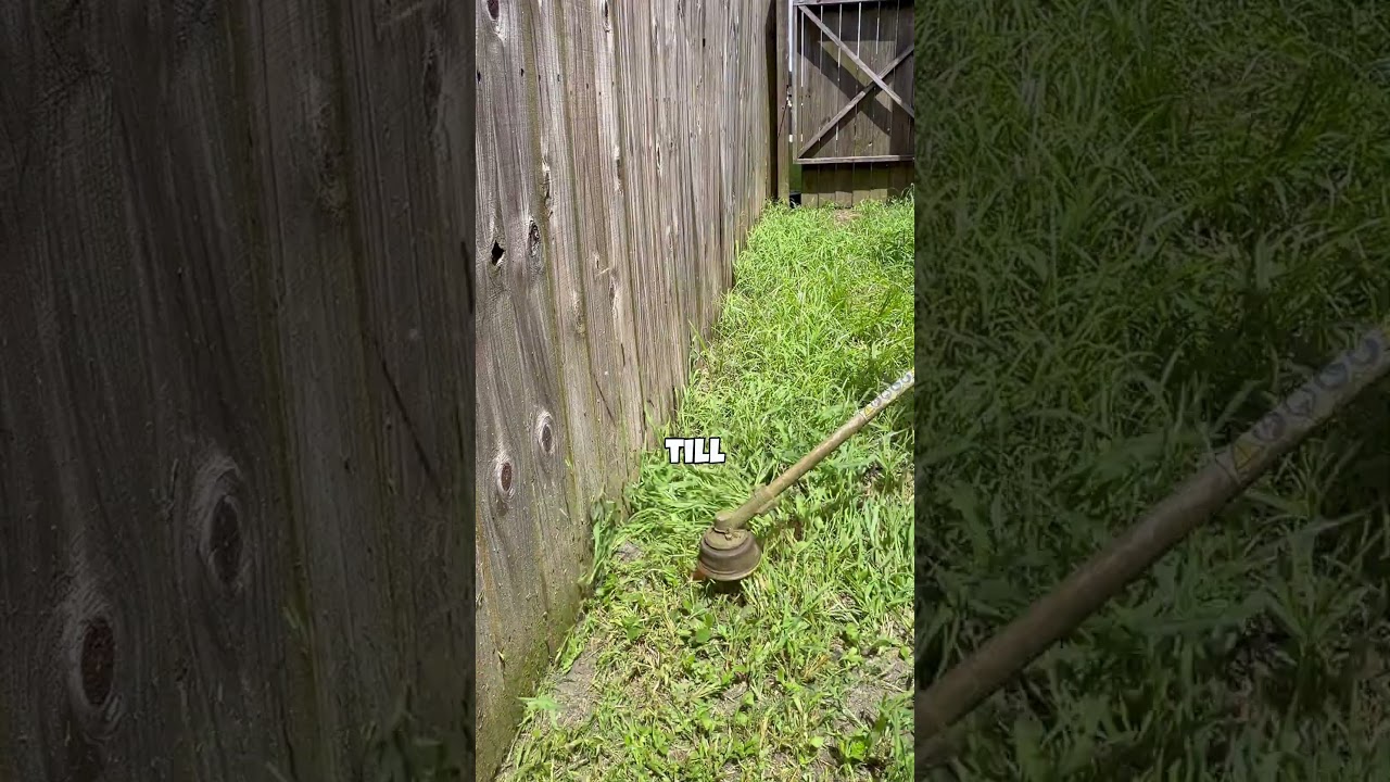 I got paid $1600 for one yard! #lawncare #dclawncare #lawn #mowing