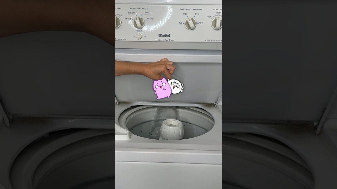 Wait till the end for a surprise…(and check comments for details) #animation #cat #cute