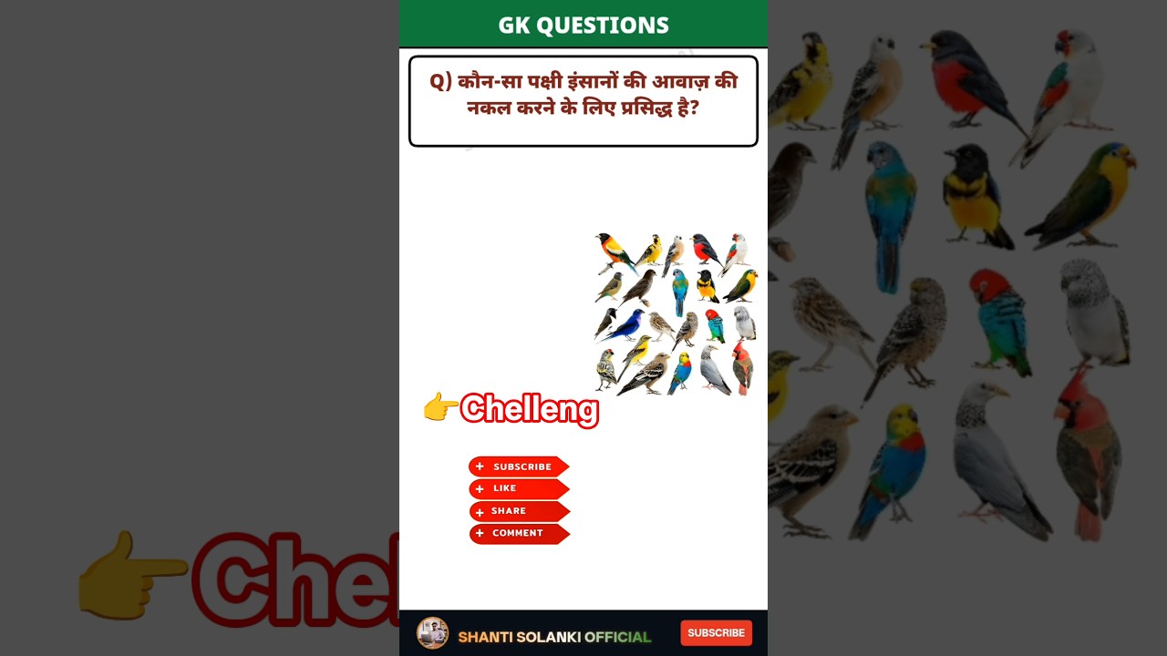 👉Chelleng -6 🔥💯|| GK Question ✍️|| GK Question and Answer #brgkstady #gkinhindi #gkfacts #gk #india