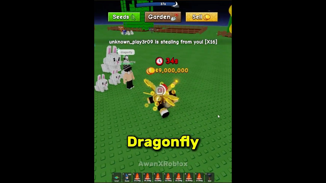 Dragonfly is overated #roblox #growagarden