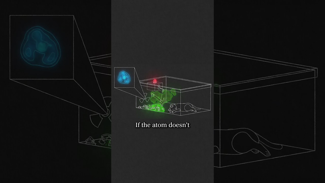 The Most Controversial Thought Experiment In Physics