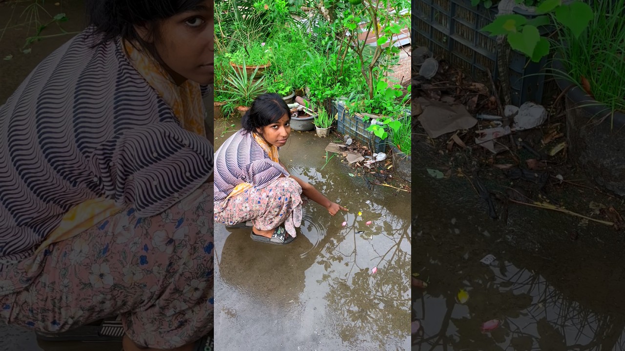 Mini pond ke sare colouring machli margaya🐟😥(1241) hindi fishing video #fishing