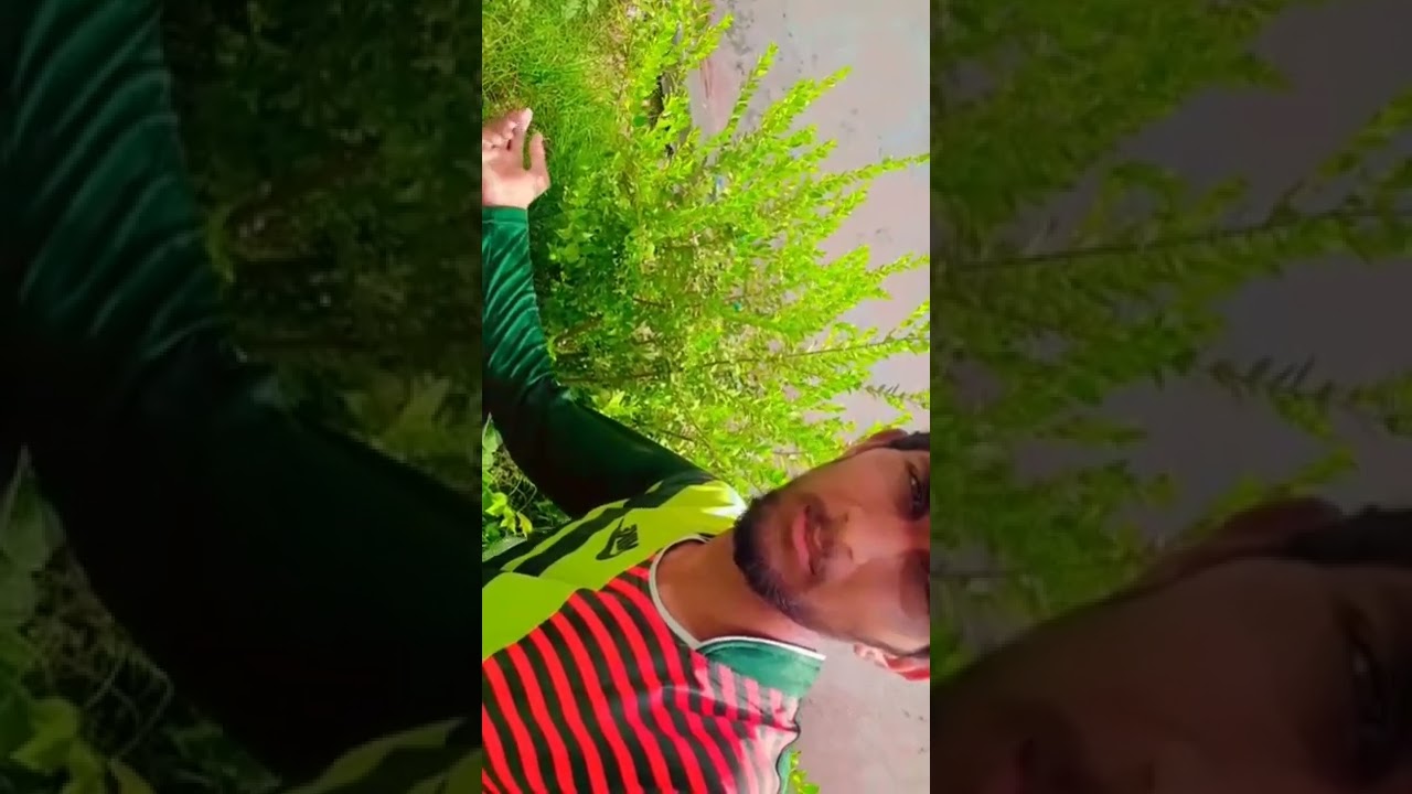 production of lichi and banifit 2022 video vlog video