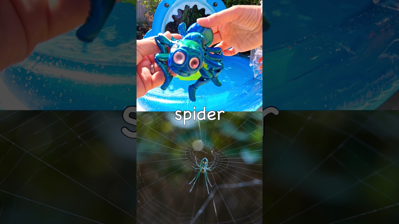 Kids Learn at the Shark Pool | Bug Insect Names: Spider Butterfly Scorpion Cicada Caterpillar