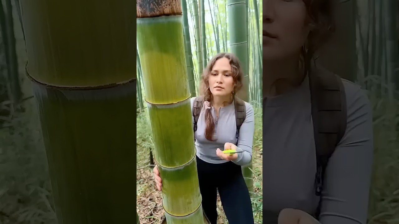 Survival Skills: How to Get Water from a BAMBOO Tree 💧🌍#ohd #survival #camping #bushcraft #skills