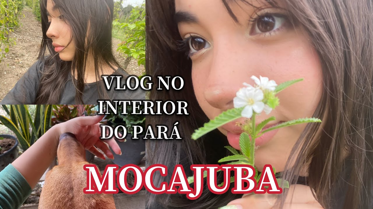Um dia em Mocajuba (Pará) | Vida no interior da Amazônia 