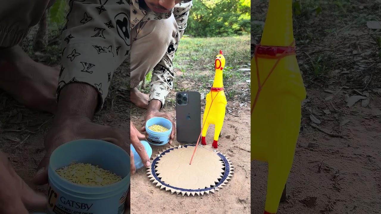 Name Beautiful DIY Bird Trap #bushcraft #camping #outdoors