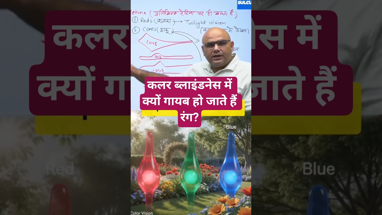 Colour Blindness #biology #upsc #pcs #ias #ras #eyes #dharmendrasir #gyrussulcus   #red #animals
