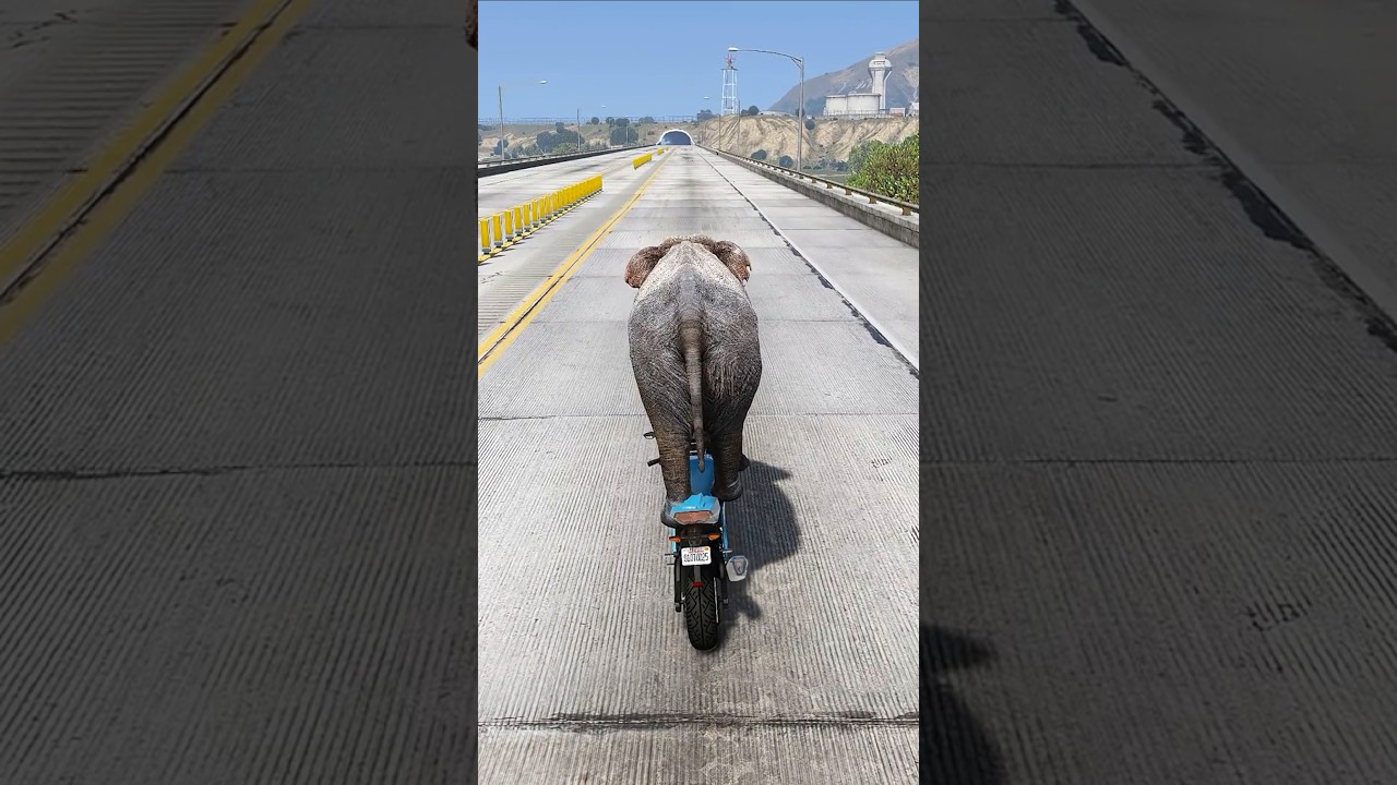 QUAL ANIMAL CONSEGUE DA GRAU?