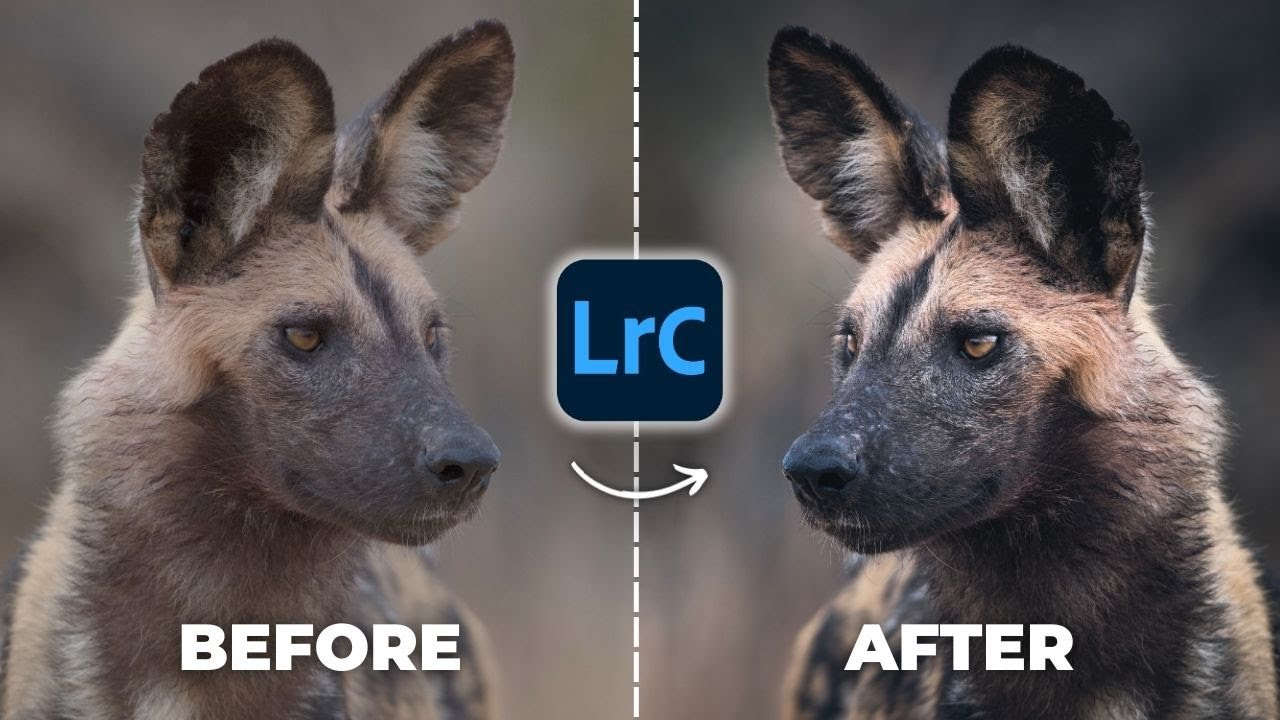 Critical Editing Skill Most Wildlife Photographers Miss (Lightroom Tutorial)