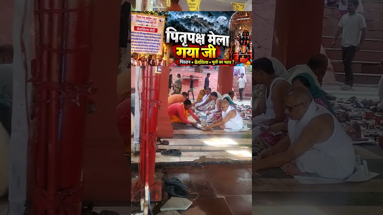 गया जी पितृपक्ष मेला 2026 🔱 लाखों श्रद्धालु पहुंचे पिंडदान करने | Gaya Ji Pind Daan 2026 #gayaji