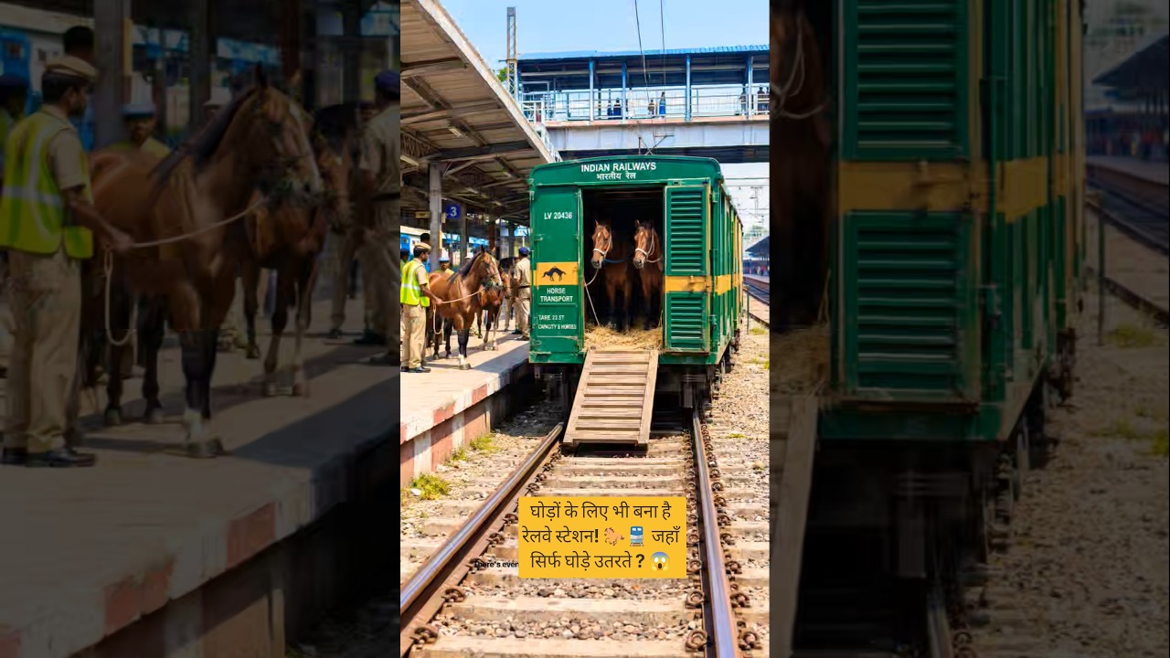 There's even a railway station for horses 🐎🚆 Where only horses get off? 😱 #shorts #prv2avlogs #facts