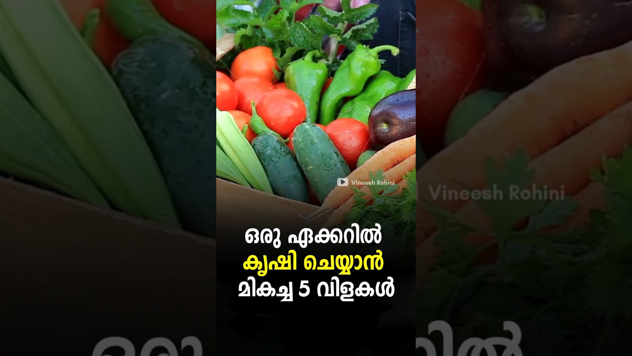Top 5 Crops for One Acre | Integrated Farming Explained 2026 | Integrated Farming Malayalam