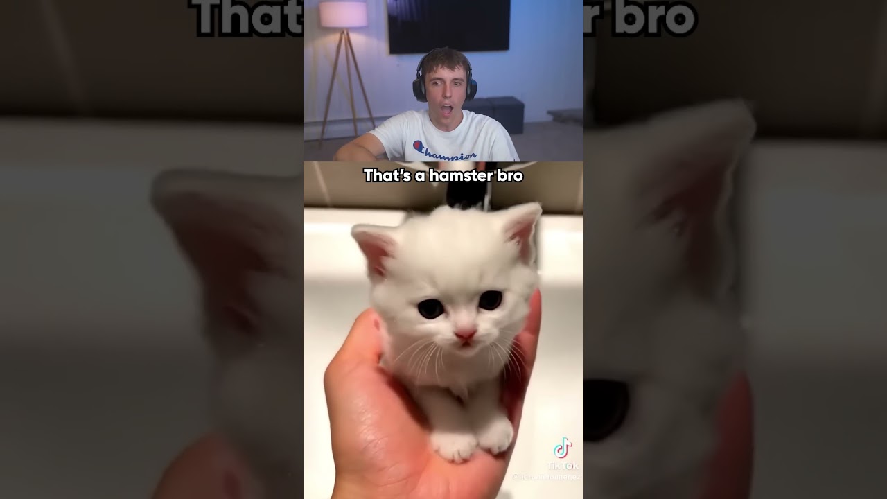 thats a hamster bro